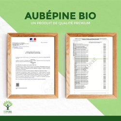 Gélules aubépine bio : Sommeil, relaxation et santé cardiaque